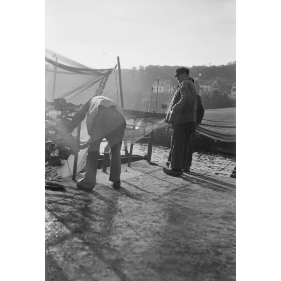 Nettoyage des filets de pêche dans le port de Douarnenez.