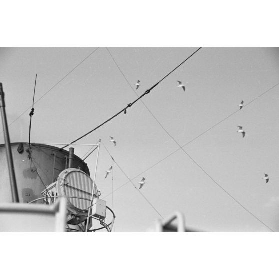 Mouettes au dessus de la cheminée d'un dragueur de mines du type Sperrbrecher.