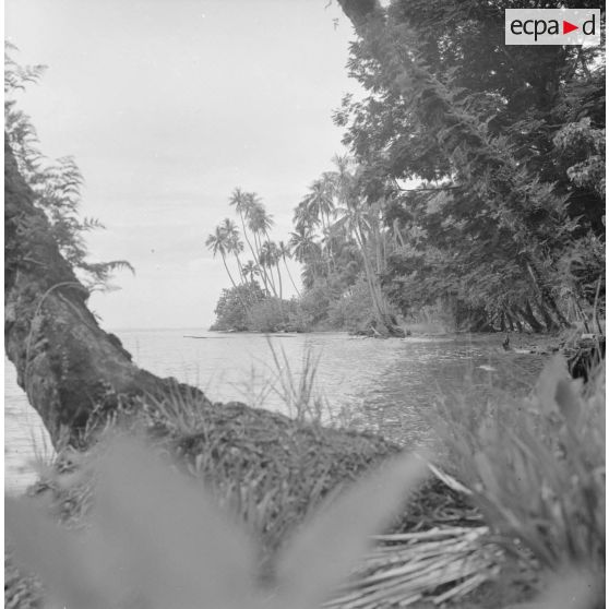 Paysage littoral de Polynésie française, probablement à Tahiti.