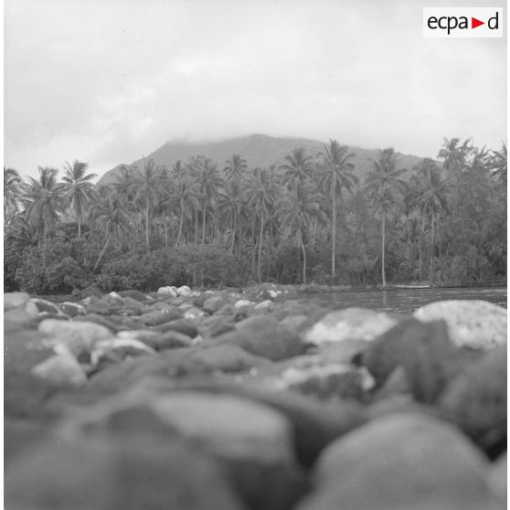 Paysage littoral de Polynésie française, probablement à Tahiti. Au ras de l'eau.