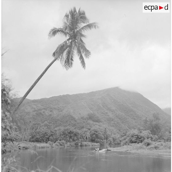 Paysage de Polynésie française, probablement à Tahiti. Un canot sur la rive d'une rivière.