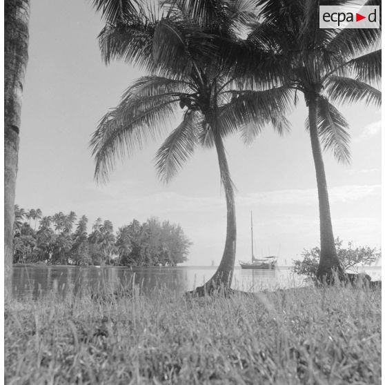 Paysage littoral de Polynésie française, probablement à Tahiti. Un voilier au mouillage.