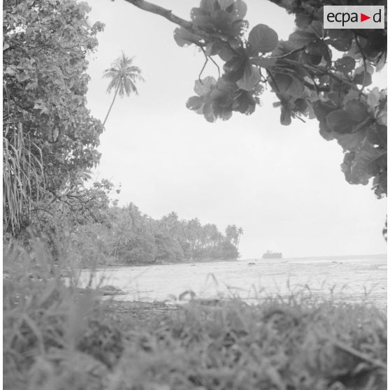 Paysage littoral de Polynésie française, probablement à Tahiti.