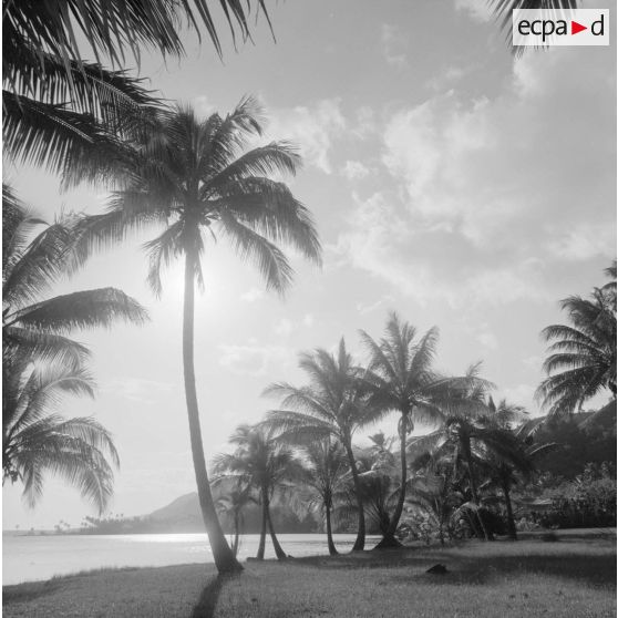 Paysage littoral de Polynésie française, probablement à Tahiti.