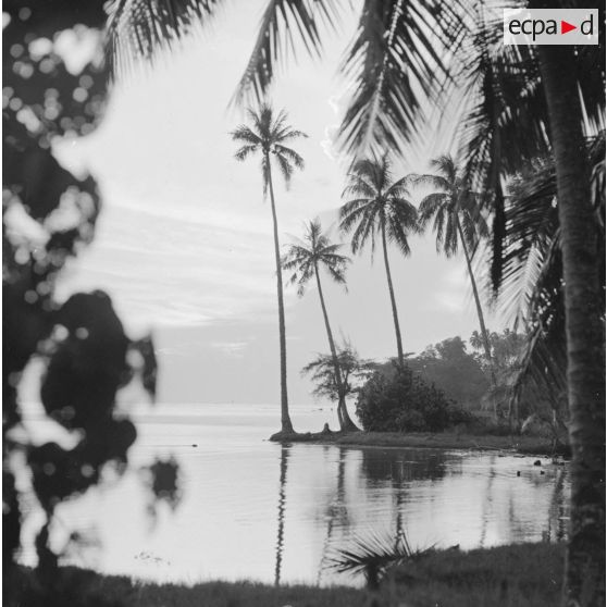 Paysage littoral de Polynésie française, probablement à Tahiti.