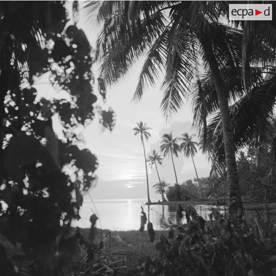 Paysage littoral de Polynésie française au coucher du soleil, probablement à Tahiti.