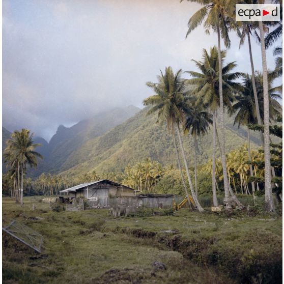 Paysage et habitation, probablement à Tahiti.