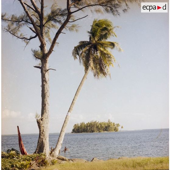 Paysage du jardin botanique Harrison Smith à Papeete.