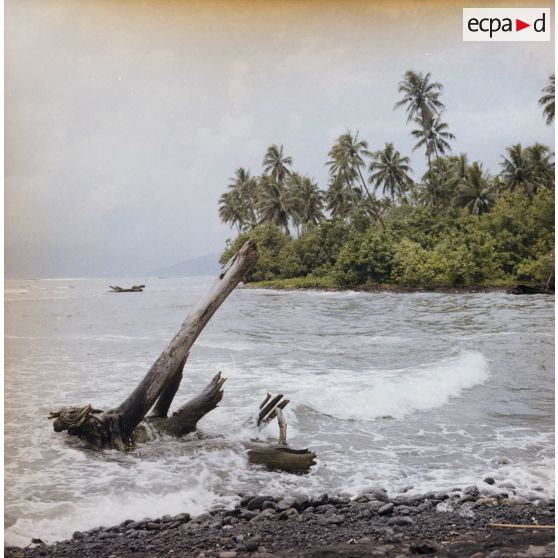 Rivage et paysage littoral peut-être à Tahiti.