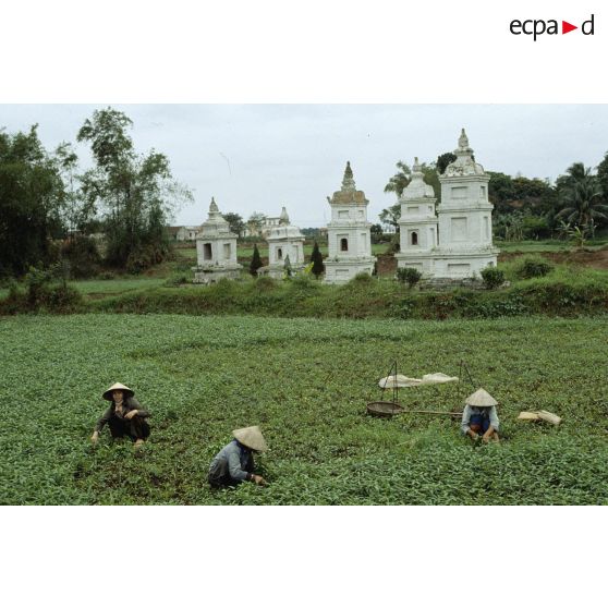 Environs de Quang Ba en banlieue d'Hanoï.