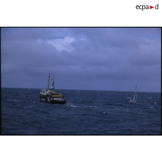 Voilier Greenpeace III de la flottille de la Paix et le bâtiment amiral MV Greenpeace de l'ONG Greenpeace évoluant en mer.