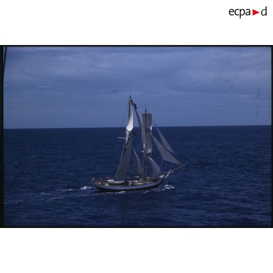 Voilier Breeze de la flottille de la Paix de Greenpeace  évoluant en mer.