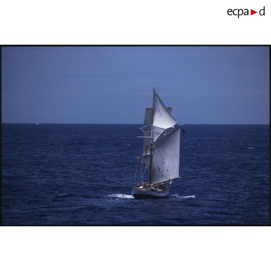 Voilier Breeze de la flottille de la Paix de Greenpeace  évoluant en mer.