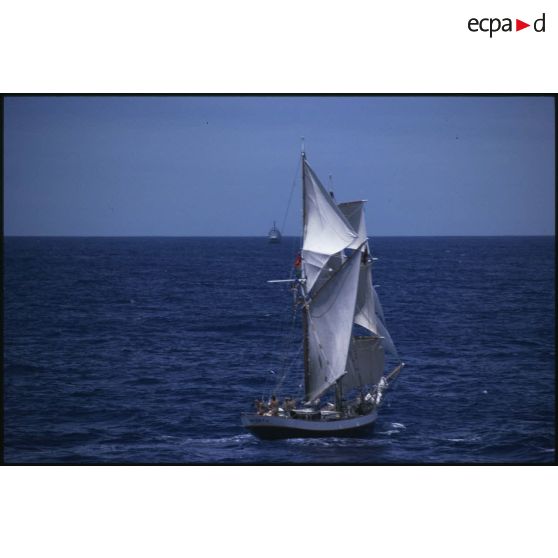 Voilier Breeze de la flottille de la Paix de Greenpeace  évoluant en mer.