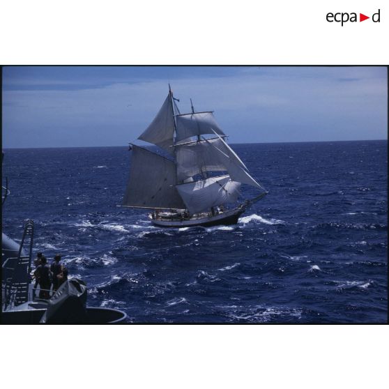 Voilier Breeze de la flottille de la Paix de Greenpeace  évoluant en mer.