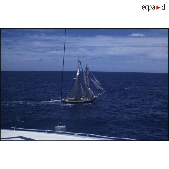 Voilier Breeze de la flottille de la Paix de Greenpeace  évoluant en mer.