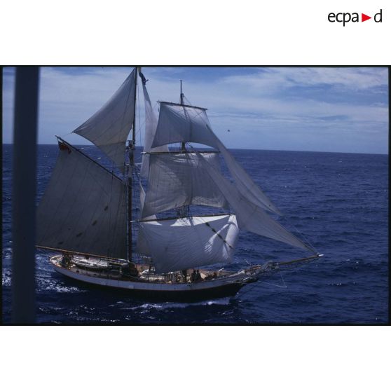 Voilier Breeze de la flottille de la Paix de Greenpeace  évoluant en mer.