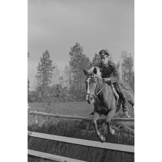 Un officier et sa monture, il pourrait s'agir du lieutenant Heinz Pollay (à confirmer).