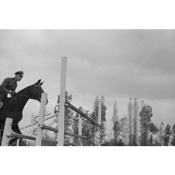 Le commandant (Major) Rudolf Lippert et son cheval.