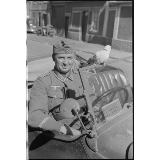 Un adjudant de compagnie, surnommé Spiess, en présence d'un pigeon.