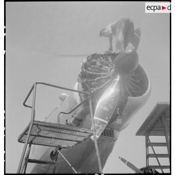 Sur l'aéroport de Marignane, un mécanicien assure la maintenance du moteur principal d'un avion de transport Dewoitine D338 d'Air France de retour de liaison.