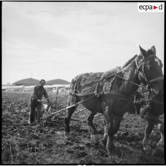 Labour d'un champ sur la base aérienne de stockage de Lyon-Bron.