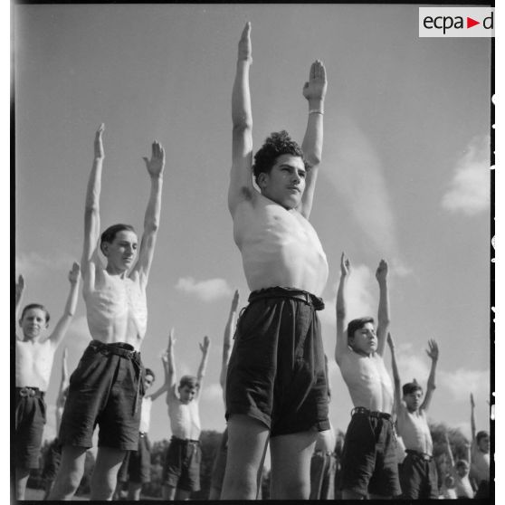 Des scouts font une séance d'hébertisme lors d'un séjour d'été dans la commune de Chavaniac-Lafayette.
