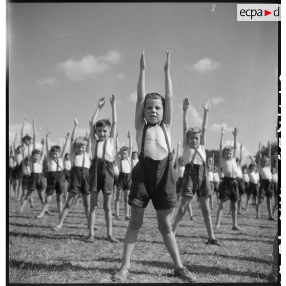 Des jeunes scouts font une séance d'hébertisme lors d'un séjour d'été dans la commune de Chavaniac-Lafayette.