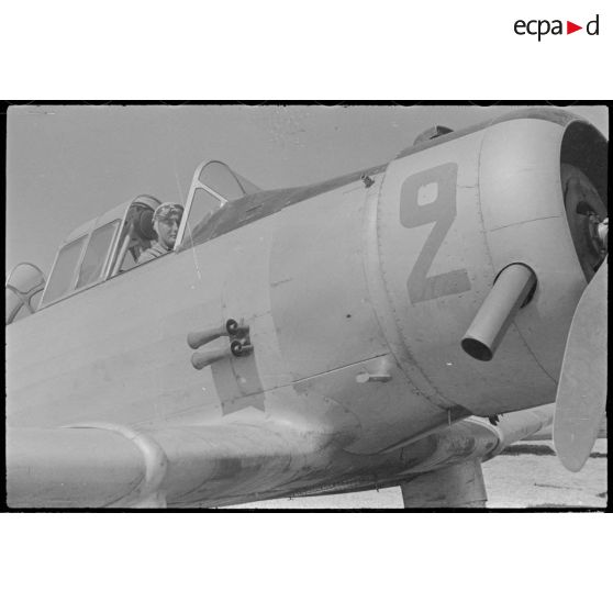 Gros plan d'un North.