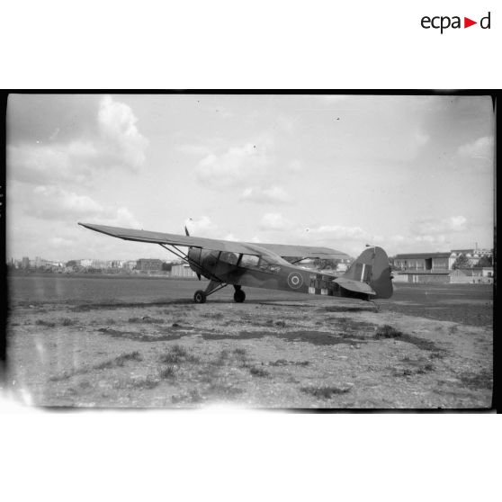 Taylorcraft Piper Cub vu de 3/4 arrière.