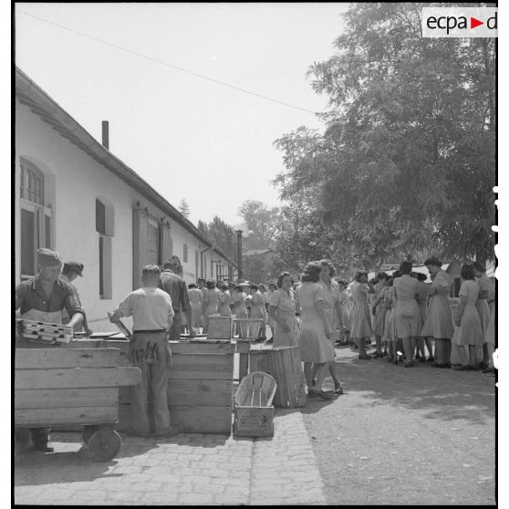 Des prisonniers de guerre allemands travaillent au 253e hôpital américain.