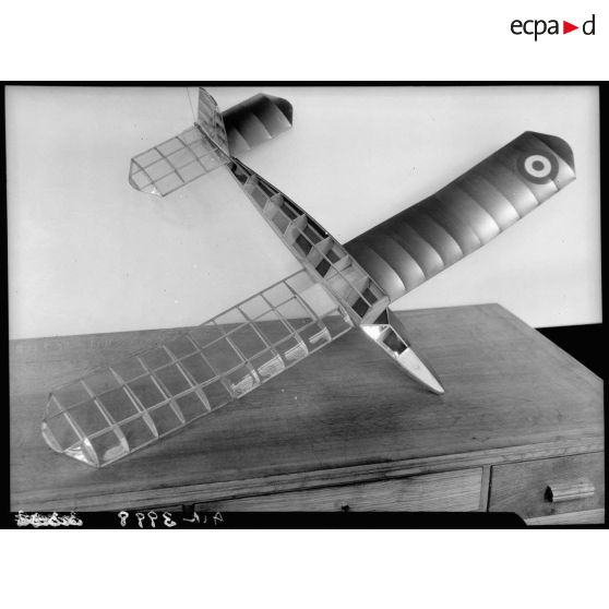 Modèle réduit d'avion. (Direction des Sports Aériens).
