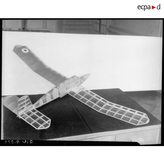 Modèle réduit d'avion. (Direction des Sports Aériens).