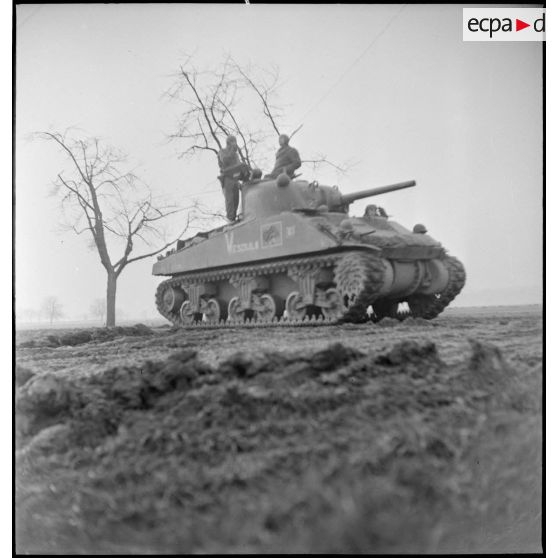 Le char Sherman "Vesoul II" du 4e escadron du 2e RC (Régiment de cuirassiers) progresse sur une route au nord-est de Mulhouse (Haut-Rhin) pour mener une contre-attaque. [description provisoire]