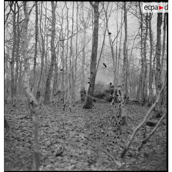 Fantassins de la 4e DMM (Division marocaine de montagne) menant une contre-attaque dans la forêt de la Hardt (Harth) au nord-est de Mulhouse (Haut-Rhin), appuyés par les chars de la 1re DB (Division blindée). [description provisoire]