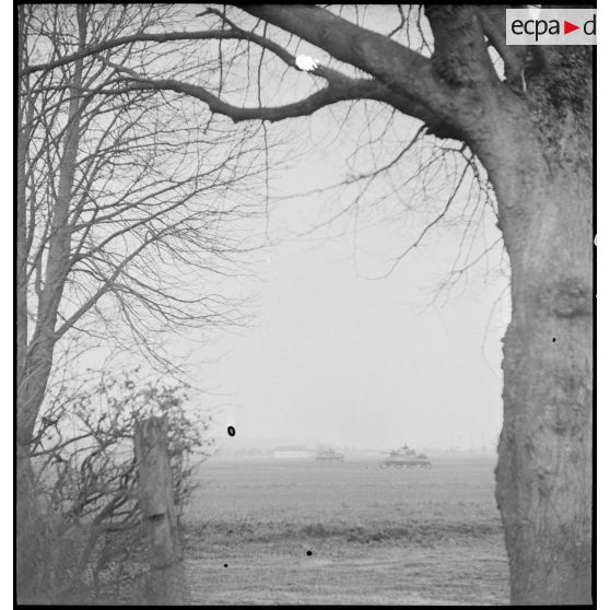 Début décembre 1944, des fantassins de la 4e DMM (Division marocaine de montagne) appuyés par les chars de la 1re DB (Division blindée), se déploient pour mener une contre-attaque dans la forêt de la Hardt (Harth) au nord-est de Mulhouse (Haut-Rhin). [description provisoire]