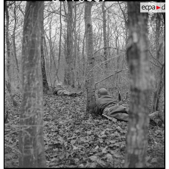 Fantassins de la 4e DMM (Division marocaine de montagne) armés de mitrailleuses Browning M1919, menant une contre-attaque dans la forêt de la Hardt (Harth) au nord-est de Mulhouse (Haut-Rhin). [description provisoire]