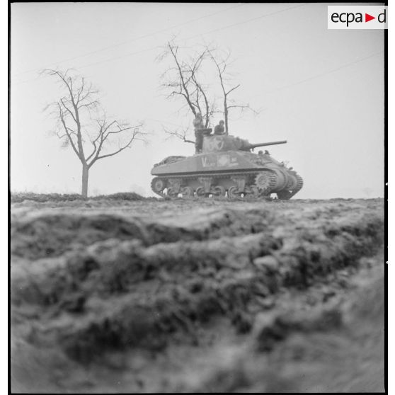 Le char Sherman "Valmy" du 4e escadron du 2e RC (Régiment de cuirassiers) progresse sur une route au nord-est de Mulhouse (Haut-Rhin) pour mener une contre-attaque. [description provisoire]