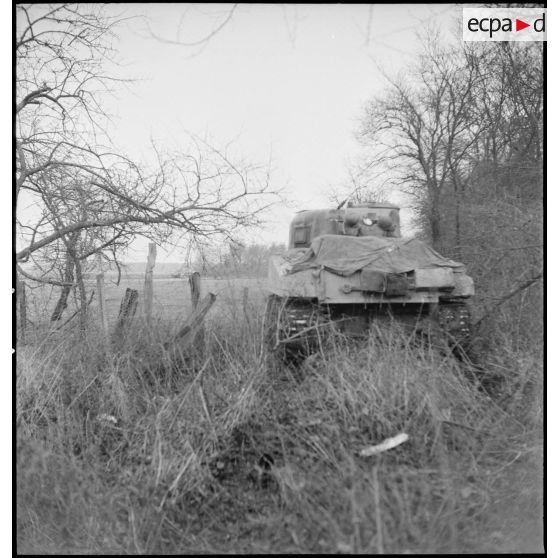 Un char Sherman du 4e escadron du 2e RC (Régiment de cuirassiers) progresse sur une route au nord-est de Mulhouse (Haut-Rhin) pour mener une contre-attaque. [description provisoire]