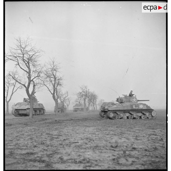 Les chars Sherman de la 1re DB (Division blindée) dont le "Valmy" du 4e escadron du 2e RC (Régiment de cuirassiers) progressent sur une route au nord-est de Mulhouse (Haut-Rhin). [description provisoire]