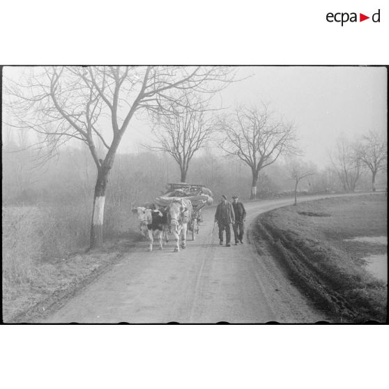Habitants de la ville de Rhinau (Bas-Rhin) fuyant leur ville bombardée par des tirs de mortiers allemands le 27 décembre 1944. [description provisoire]