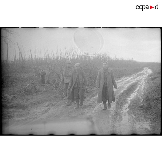 Prisonniers de guerre allemands près de Riquewihr (Haut-Rhin). [description provisoire]