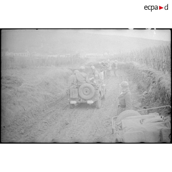 Des soldats américains roulent en jeep et en suivent d'autres qui évacuent un blessé sur un brancard près de Riquewhir (Haut-Rhin). [description provisoire]