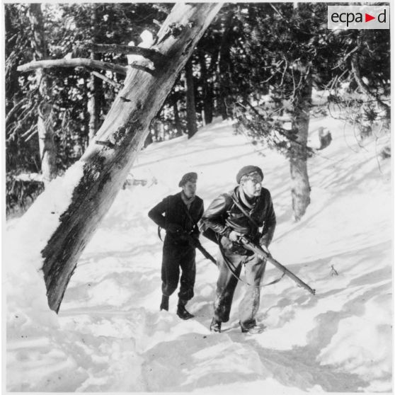 Région de Briançon : visite de postes avancés de la Division alpine au bois de Sestrières. [description provisoire]