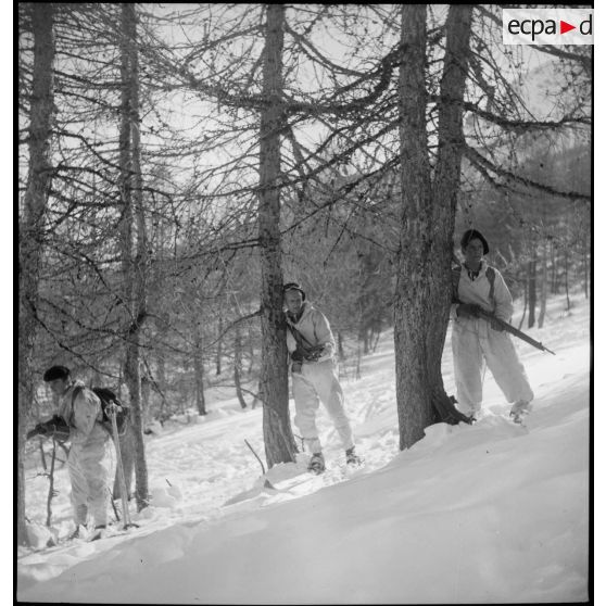 Région de Briançon : visite de postes avancés de la Division alpine au bois de Sestrières. [description provisoire]