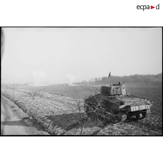 Chars Sherman du 2e escadron du 5e RCA (Régiment de chasseurs d'Afrique) lors d'un entraînement aux environs de Romagny (Haut-Rhin). Le régiment fait partie du CC2 (Combat command n° 2) de la 1re DB (Division blindée). [description provisoire]