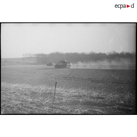Chars Sherman du 5e RCA (Régiment de chasseurs d'Afrique) lors d'un entraînement aux environs de Romagny (Haut-Rhin). [description provisoire]