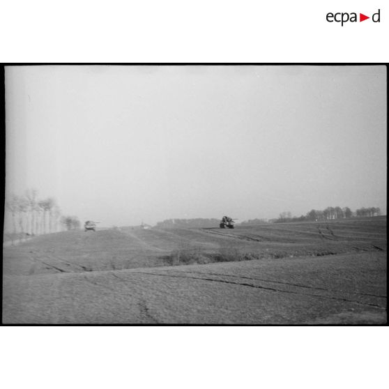 Chars Sherman du 5e RCA (Régiment de chasseurs d'Afrique) lors d'un entraînement aux environs de Romagny (Haut-Rhin) avec des fantassins. [description provisoire]