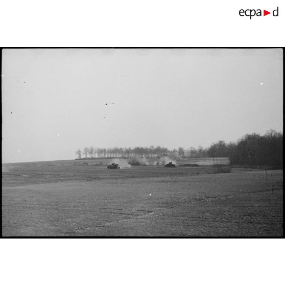 Chars Sherman du 5e RCA (Régiment de chasseurs d'Afrique) lors d'un entraînement aux environs de Romagny (Haut-Rhin). [description provisoire]