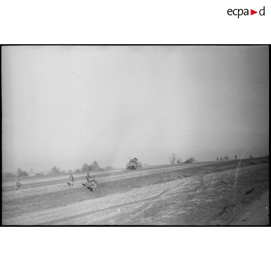 Char Sherman du 5e RCA (Régiment de chasseurs d'Afrique) lors d'un entraînement avec des fantassins aux environs de Romagny (Haut-Rhin). [description provisoire]